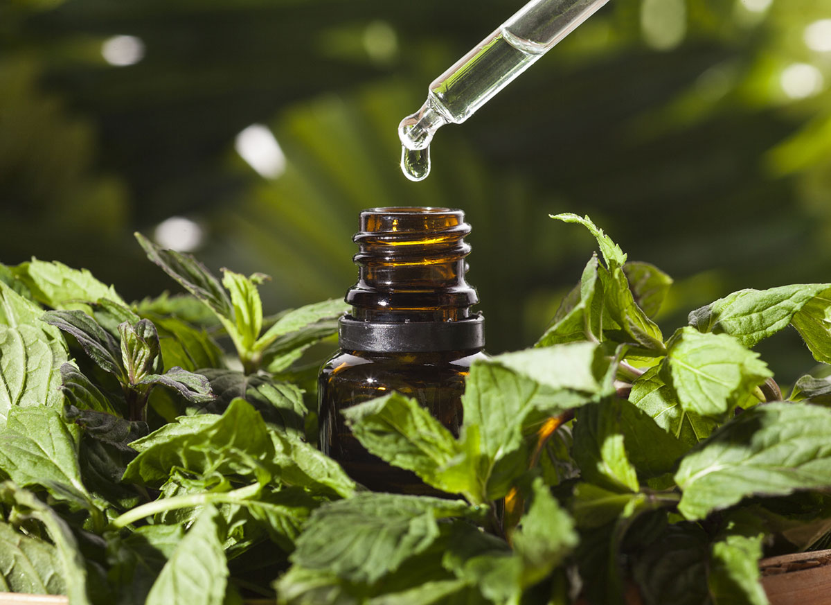 Peppermint oil Natural Beauty tip